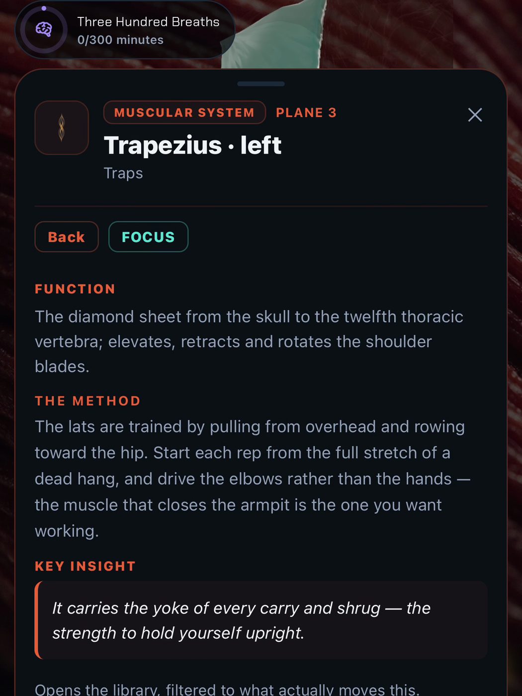 A screen from the Veast app, chapter 04