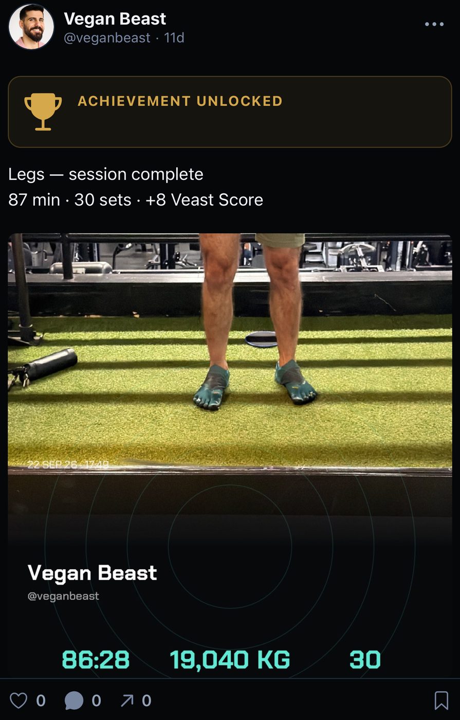A screen from the Veast app, chapter 11